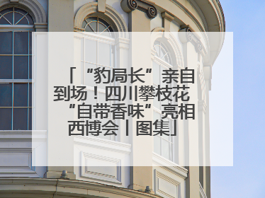 “豹局长”亲自到场！四川攀枝花“自带香味”亮相西博会丨图集