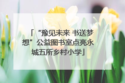“豫见未来 书送梦想”公益图书室点亮永城五所乡村小学