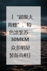 “超级大黄蜂”、特色涂装苏-30MKM 众多明星装备亮相