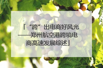 “跨”出电商好风光——郑州航空港跨境电商高速发展综述
