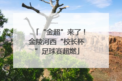 “金超”来了！金陵河西“校长杯”足球赛超燃