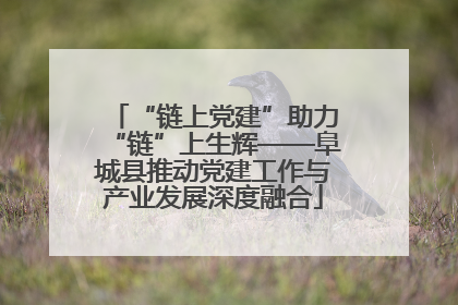 “链上党建”助力“链”上生辉——阜城县推动党建工作与产业发展深度融合