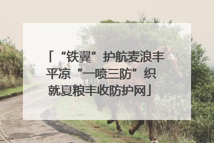 “铁翼”护航麦浪丰 平凉“一喷三防”织就夏粮丰收防护网