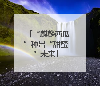 “麒麟西瓜”种出“甜蜜”未来