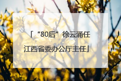 “80后”徐云涌任江西省委办公厅主任