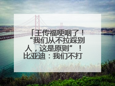 王传福哽咽了！“我们从不拉踩别人，这是原则”！比亚迪：我们不打价格战