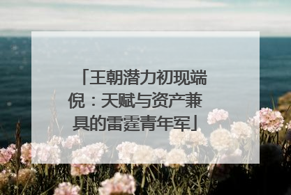 王朝潜力初现端倪：天赋与资产兼具的雷霆青年军