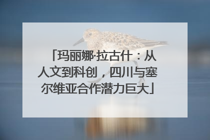 玛丽娜·拉古什：从人文到科创，四川与塞尔维亚合作潜力巨大