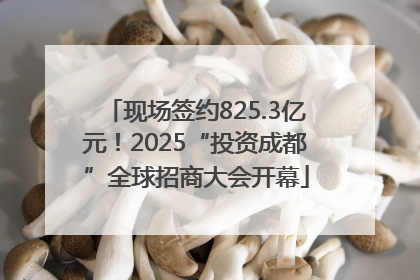 现场签约825.3亿元！2025“投资成都”全球招商大会开幕