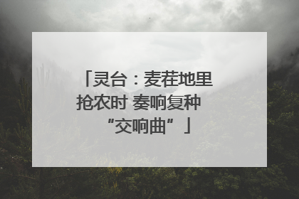 灵台：麦茬地里抢农时 奏响复种“交响曲”