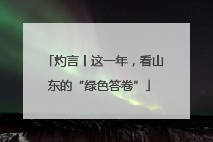 灼言丨这一年，看山东的“绿色答卷”