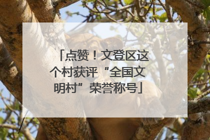 点赞！文登区这个村获评“全国文明村”荣誉称号