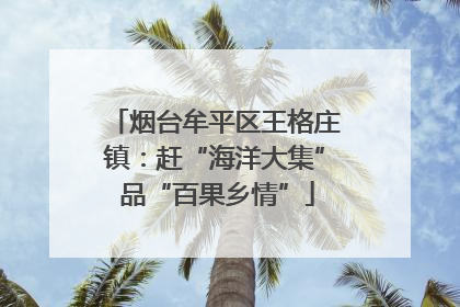 烟台牟平区王格庄镇：赶“海洋大集” 品“百果乡情”