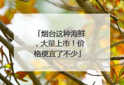 烟台这种海鲜，大量上市！价格便宜了不少