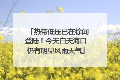 热带低压已在徐闻登陆！今天白天海口仍有明显风雨天气