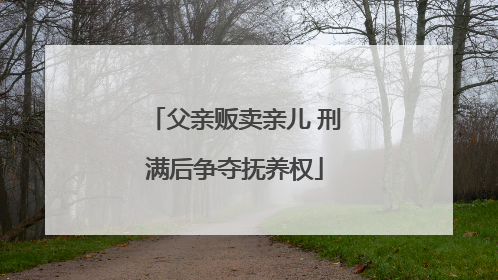 父亲贩卖亲儿 刑满后争夺抚养权
