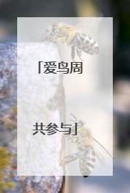爱鸟周 共参与