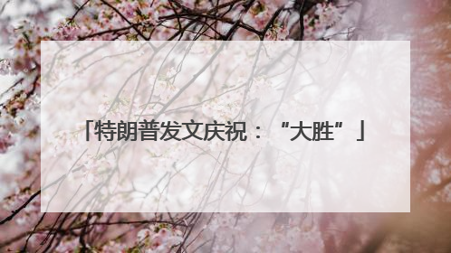 特朗普发文庆祝：“大胜”