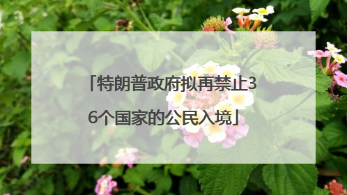 特朗普政府拟再禁止36个国家的公民入境