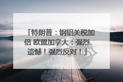特朗普：钢铝关税加倍 欧盟加拿大：强烈遗憾！强烈反对！