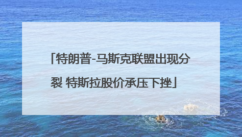 特朗普-马斯克联盟出现分裂 特斯拉股价承压下挫