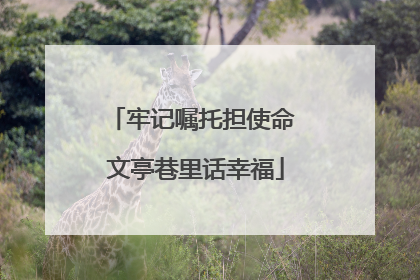 牢记嘱托担使命 文亭巷里话幸福