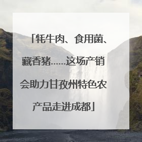 牦牛肉、食用菌、藏香猪……这场产销会助力甘孜州特色农产品走进成都