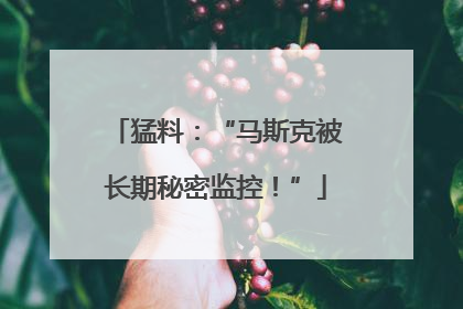 猛料：“马斯克被长期秘密监控！”