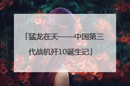 猛龙在天——中国第三代战机歼10诞生记