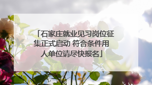 石家庄就业见习岗位征集正式启动 符合条件用人单位请尽快报名