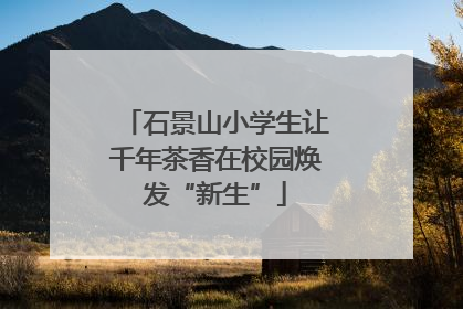 石景山小学生让千年茶香在校园焕发“新生”