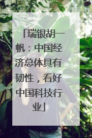 瑞银胡一帆：中国经济总体具有韧性，看好中国科技行业