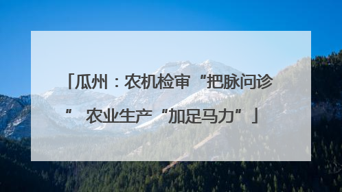 瓜州：农机检审“把脉问诊” 农业生产“加足马力”