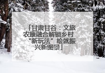 甘肃甘谷：文旅农康融合解锁乡村“新玩法”绘就振兴新图景