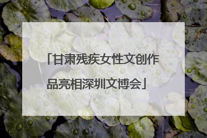 甘肃残疾女性文创作品亮相深圳文博会
