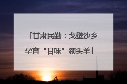 甘肃民勤：戈壁沙乡孕育“甘味”领头羊