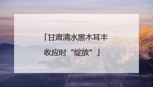 甘肃清水黑木耳丰收应时“绽放”