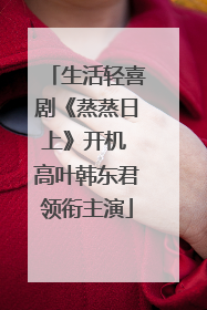 生活轻喜剧《蒸蒸日上》开机 高叶韩东君领衔主演