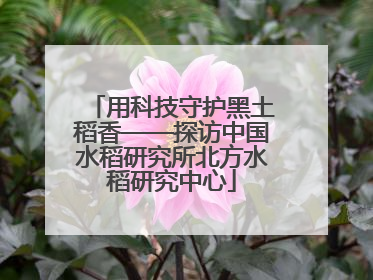 用科技守护黑土稻香——探访中国水稻研究所北方水稻研究中心