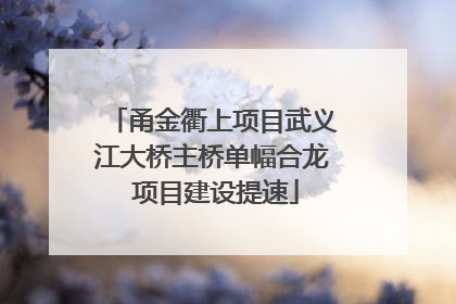 甬金衢上项目武义江大桥主桥单幅合龙 项目建设提速