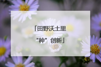 田野沃土里“种”创新