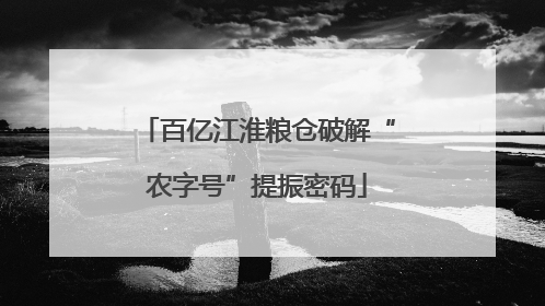 百亿江淮粮仓破解“农字号”提振密码