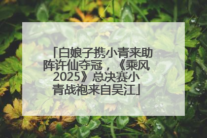 白娘子携小青来助阵许仙夺冠，《乘风2025》总决赛小青战袍来自吴江