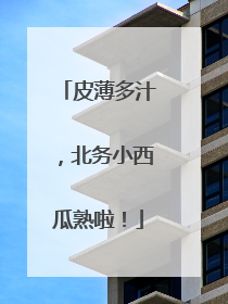 皮薄多汁，北务小西瓜熟啦！