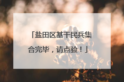盐田区基干民兵集合完毕，请点验！