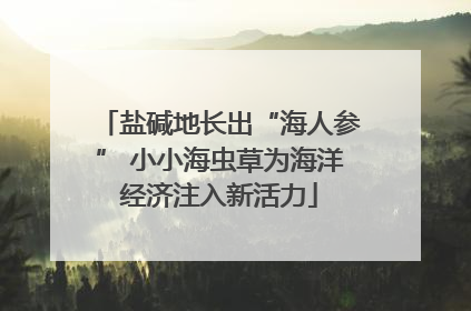 盐碱地长出“海人参” 小小海虫草为海洋经济注入新活力