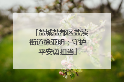 盐城盐都区盐渎街道徐亚明：守护平安勇担当
