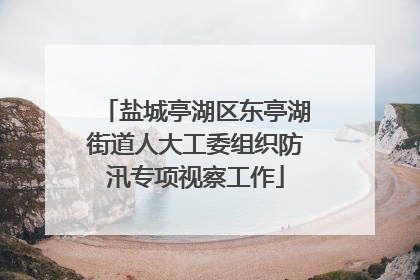 盐城亭湖区东亭湖街道人大工委组织防汛专项视察工作