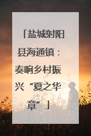 盐城射阳县海通镇：奏响乡村振兴“夏之华章”