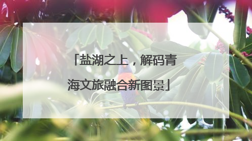 盐湖之上，解码青海文旅融合新图景